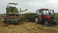 Claas Mercator 50