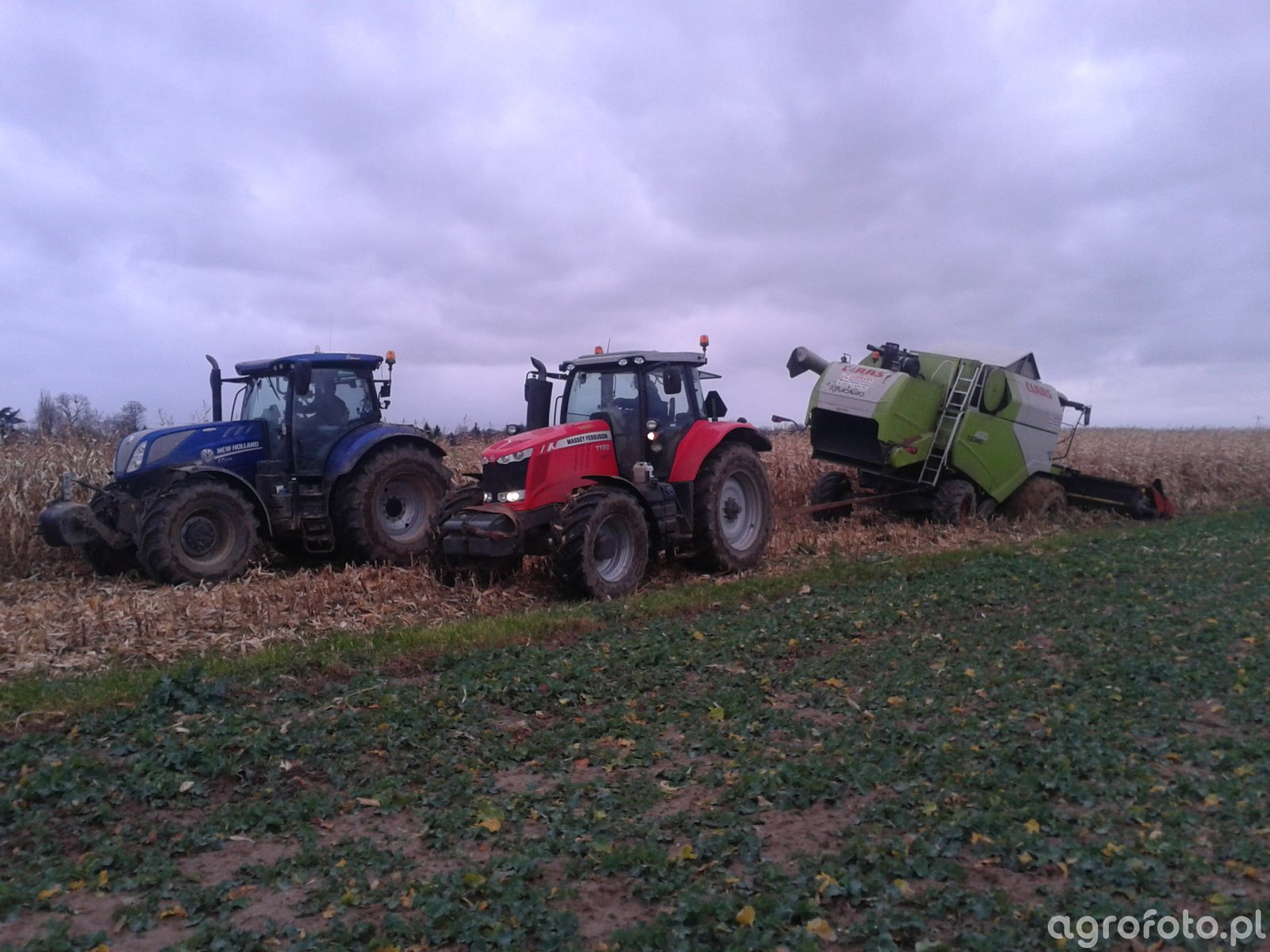 Claas Tucano 450 + Massey Ferguson 7722 + New Holland t7.270
