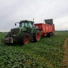 Fendt 930 & brochard