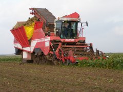 Grimme Maxtron 620