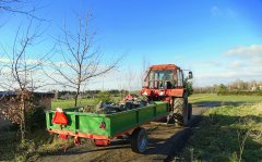 MTZ 82 & Przyczepa