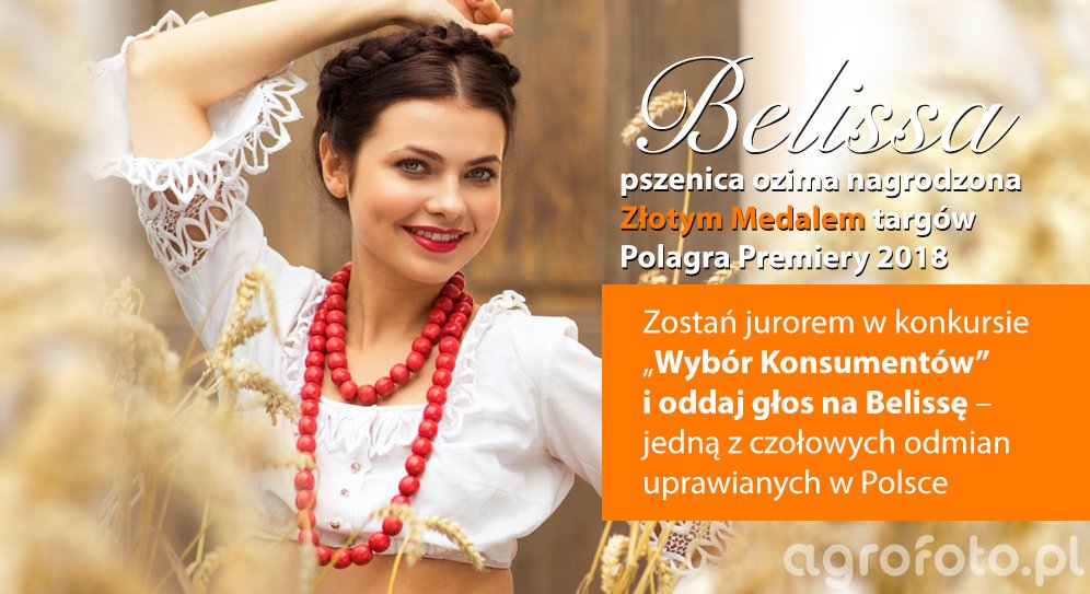belissa_potrzebuje_twojej_pomocy____l_82978220c81ade11593a4cb6464a6f35.jpg