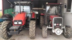 Massey Ferguson 255 & 4345