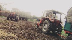 Massey Ferguson 255 & Ursus 1012