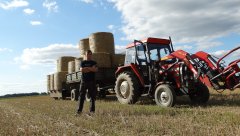 Massey Ferguson 255 + tur 3B