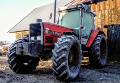 Massey Ferguson 3115