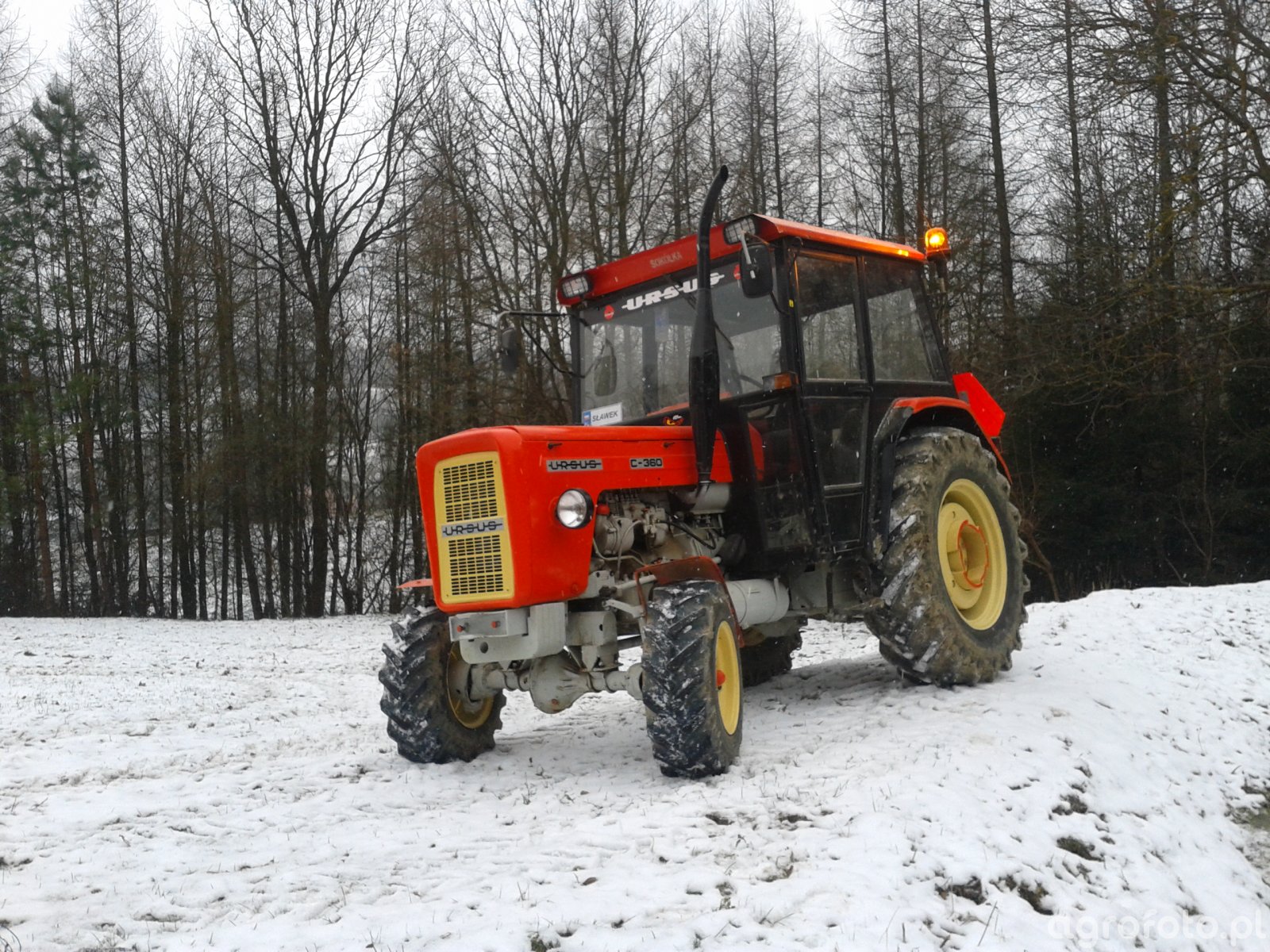 Obraz Traktor Ursus C 360 Galeria Rolnicza Agrofoto