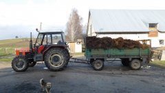 Zetor 7045 i rozrzutnik obornika Czarna Białostocka