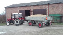 Zetor 7711 przyczepa ruska