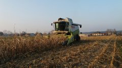 Claas Lexion 470 