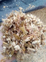 Kiszonka z kukurydzy