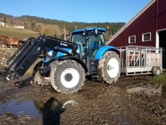 New Holland