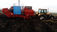 Renault 155.54+ Grimme sl800