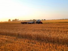 Zetor 7711 i przyczepy