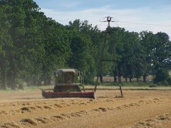 Claas Mega 208 Dominator