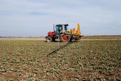 Massey Ferguson 3050 & Cebeco