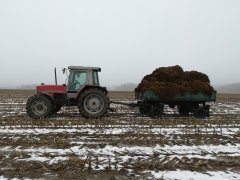 Massey Ferguson 3095 & D47