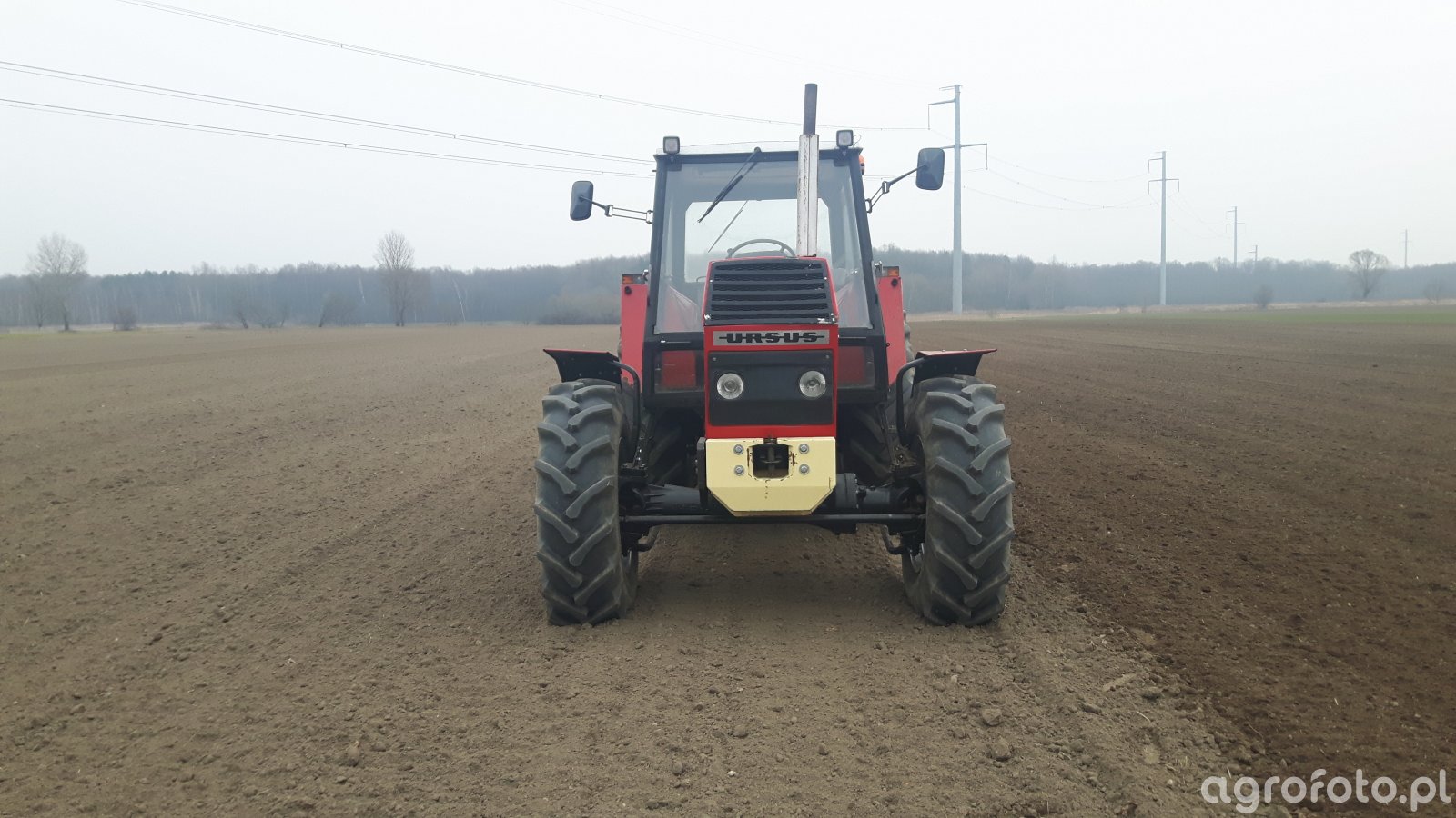 Obraz ciągnik Ursus 1214 #723151 - Galeria rolnicza agrofoto