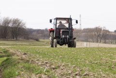 Massey Ferguson 255 & Altro