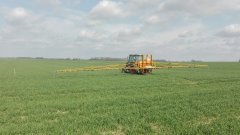 Massey Ferguson 3050 & Cebeco II dawka RSM