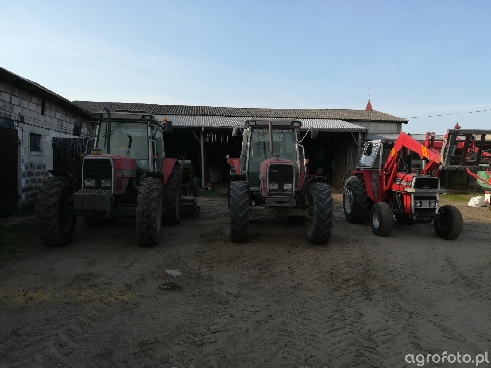 Massey Ferguson 3095 & 3080 & 565