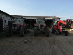 Massey Ferguson 3095 & 3080 & 565