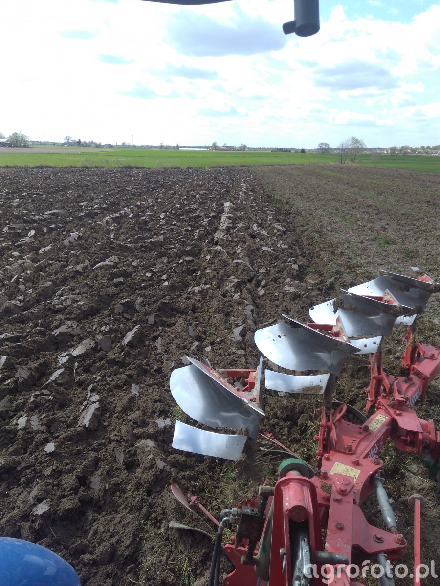 Pole - zdjęcie, fotka, foto numer: 725755 - Galeria rolnicza agrofoto