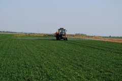 Massey Ferguson 3050 & Cebeco - T1 w pszenicy ozimej