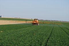 Massey Ferguson 3050 & Cebeco - T1 w pszenicy ozimej