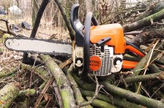 Stihl MS 230