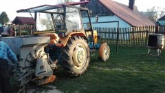 Ursus c-330 i sadzenie ziemniaków