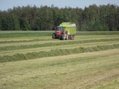 Massey-Ferguson 8250 i Claas Quantum 5500S