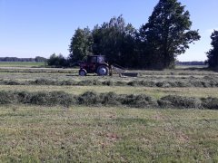 Massey Ferguson 255