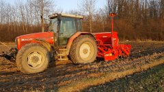 Massey Ferguson 6290 + Gaspardo drago 