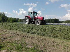 Massey Ferguson 6485