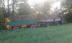 MF 3070 + D 35 + czarna bialostocka