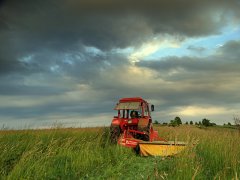 Mtz 82 & Kosiarka Rotacyjna