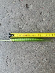 Pszenzyto zimowe Rotondo 