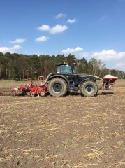 Siew buraków strip-till