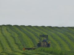 Ursus C-360 + Ładowacz czołowy Tur 2