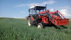 Zetor 7211 + Grass Rol