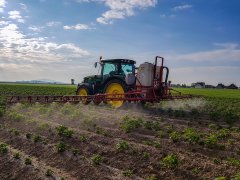 Ziemniaki LORD - 15.05.2018 - oprysk na chwasty