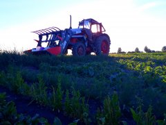 Mtz 82& Inter-tech