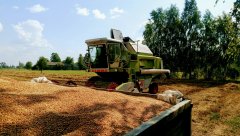 Claas Dominator 96 + Autosan D732