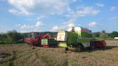 Bizon&Claas