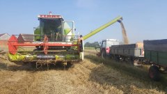 Claas Dominator 88 + Zeto 5211