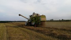 Claas Dominator 88 s 