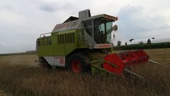 Claas Dominator 88 s 