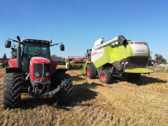 Claas Lexion 540 Massey Ferguson 7480