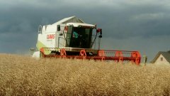 Claas Lexion